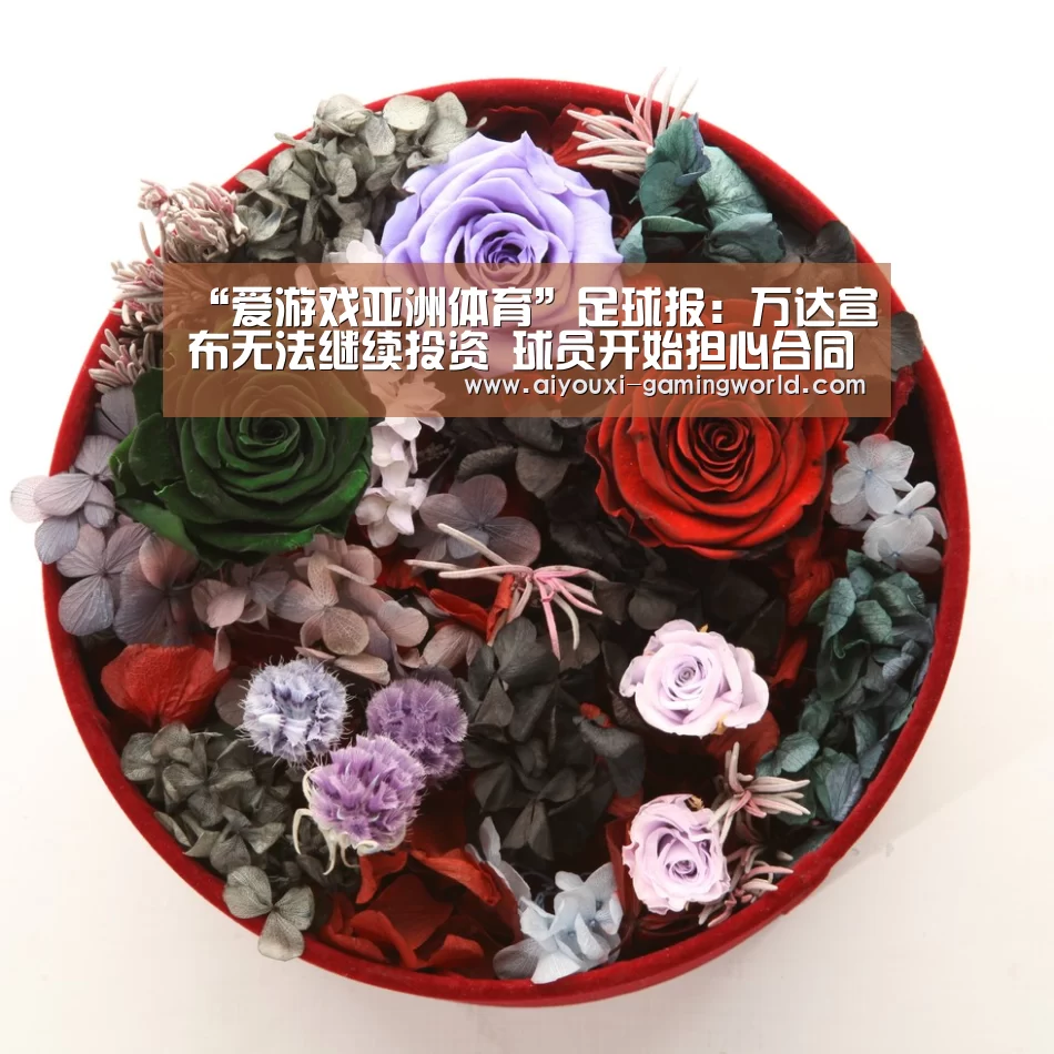 爱游戏体育APP